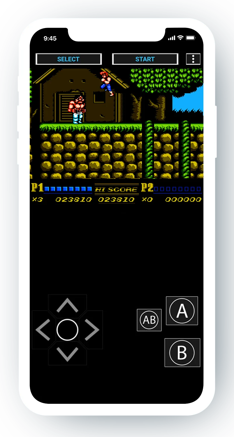 Double dragon 2 the revenge