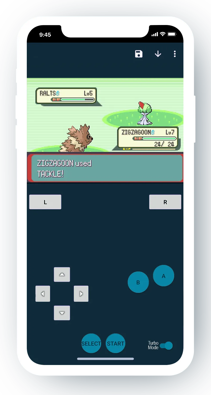 Pokemon Ruby GBA