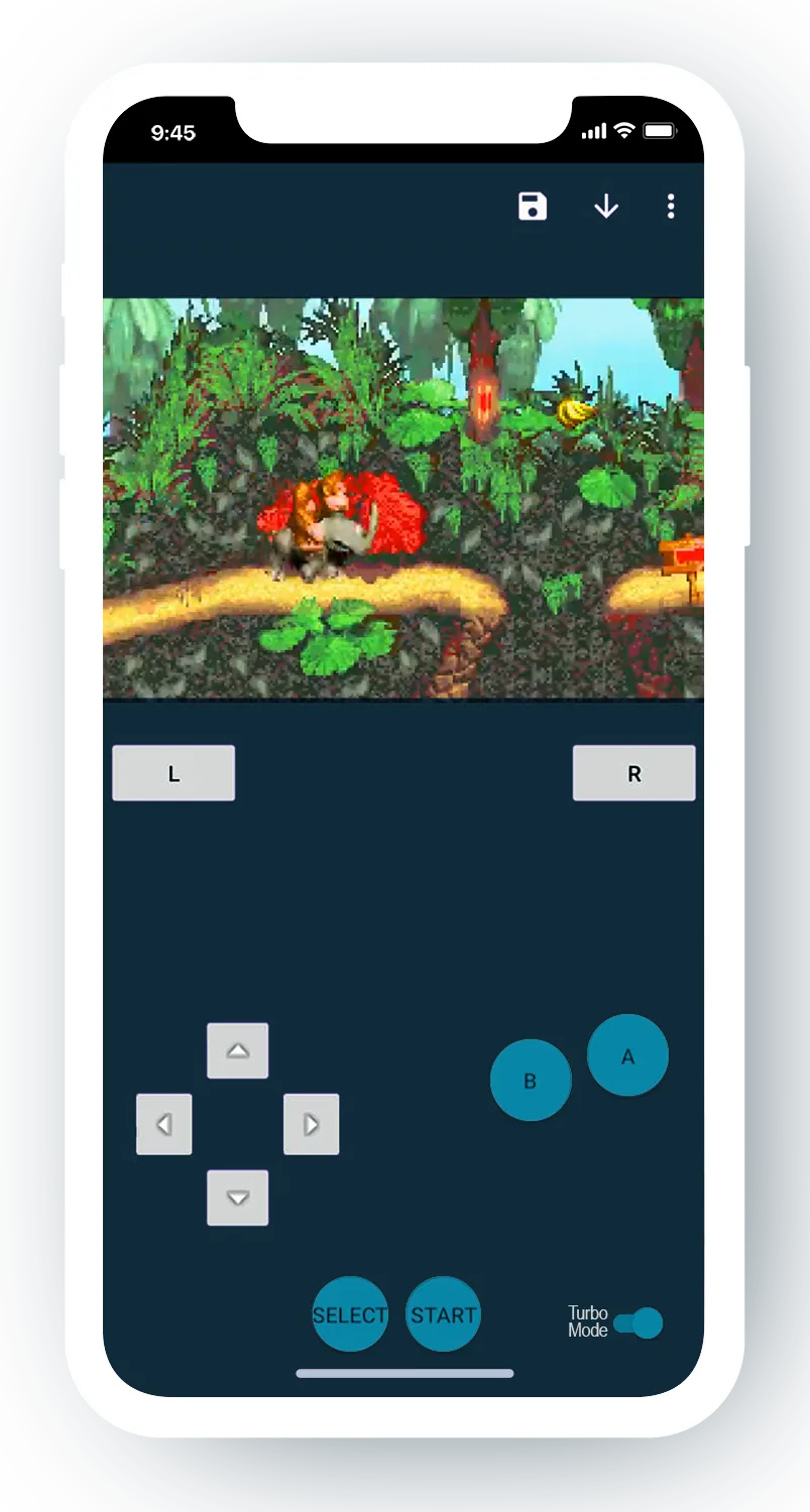 The Donkey Kong Country 1 GBA