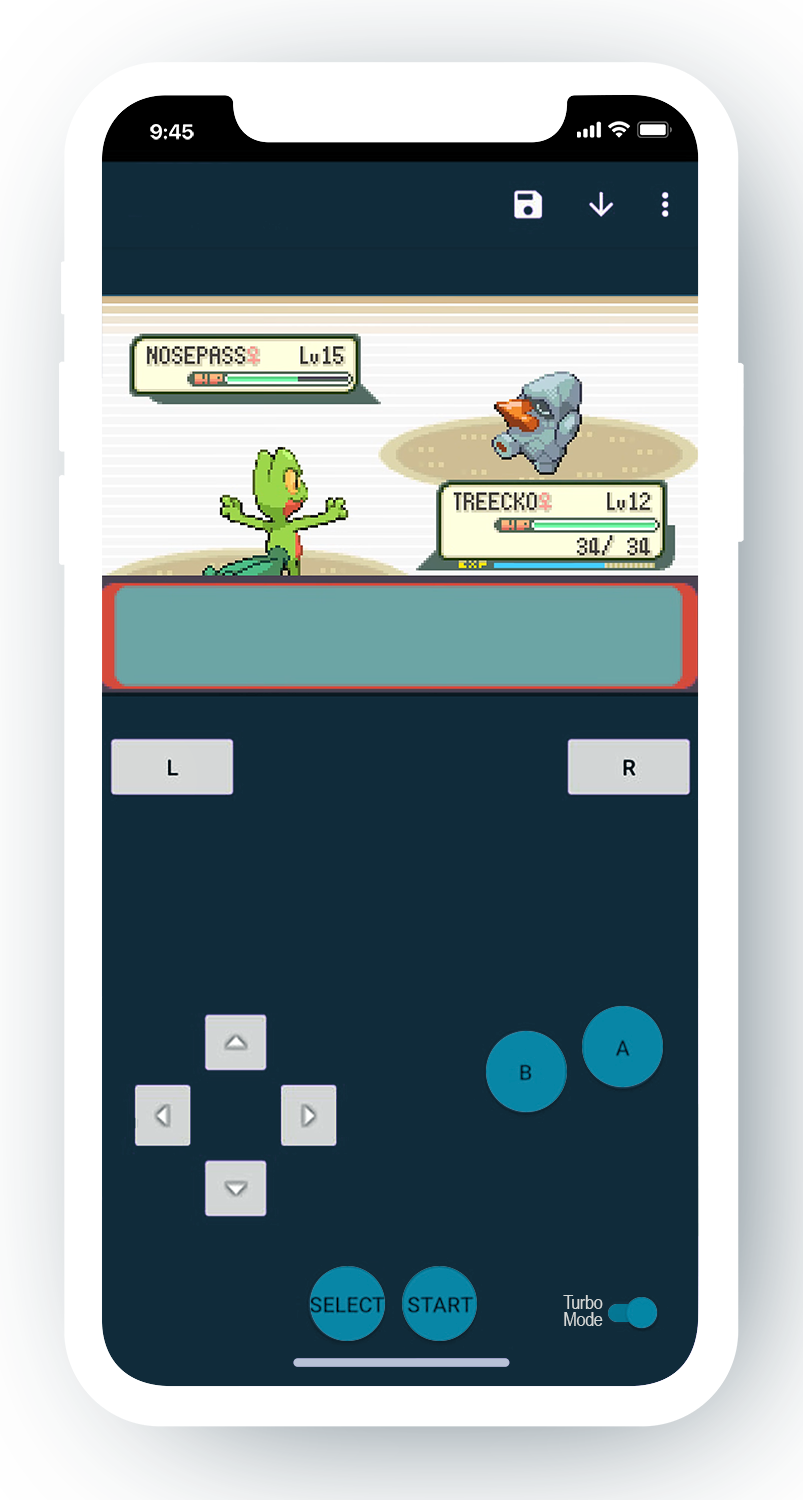 Pokemon-Emerald-1.png