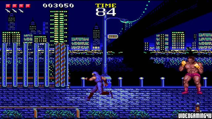 Ninja Gaiden Shadow